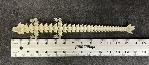 14” 3D Printed Articulating Crystal Dragon - Clear - Image 4